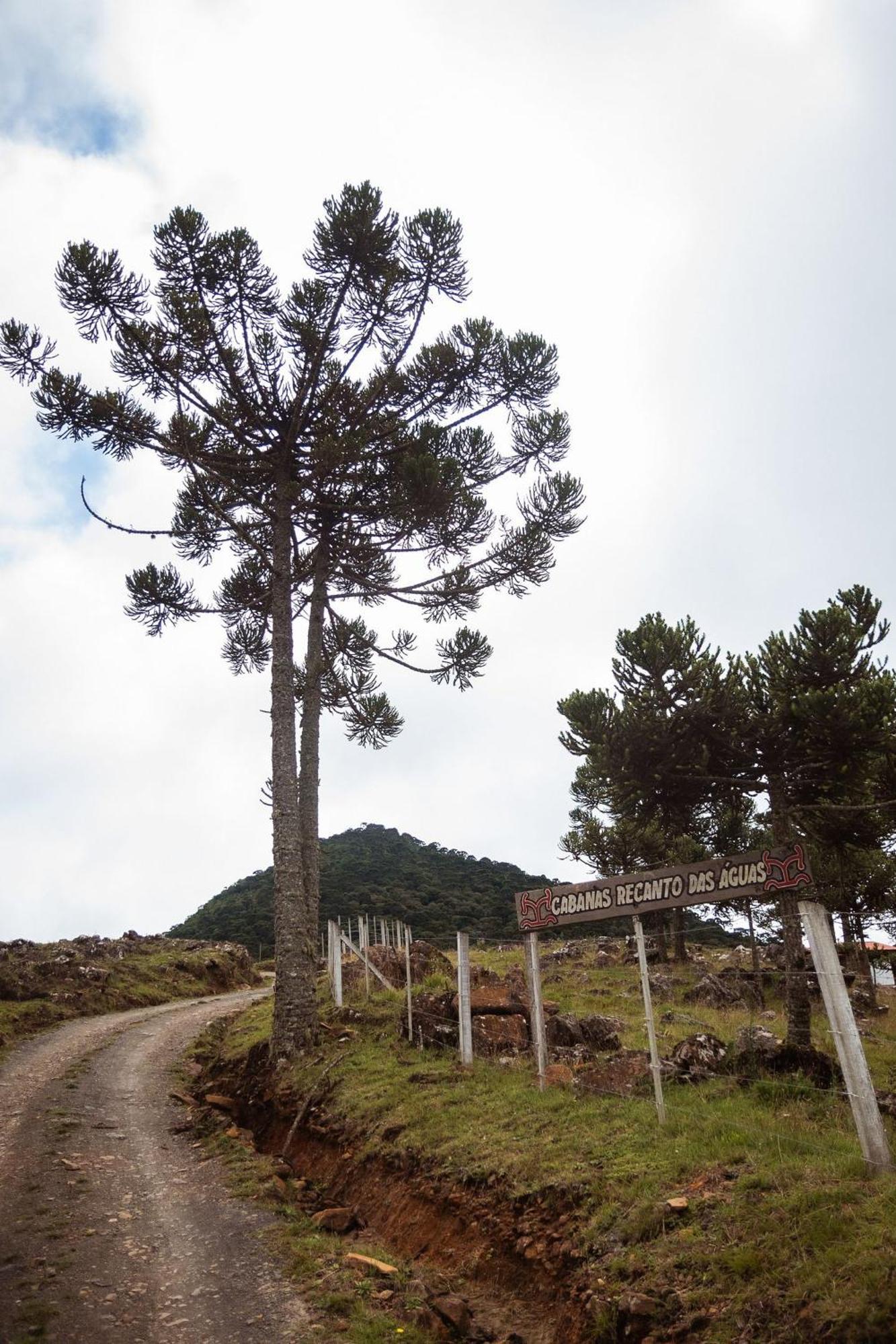 Recanto Das Aguas - Urubici - Sc Bagian luar foto