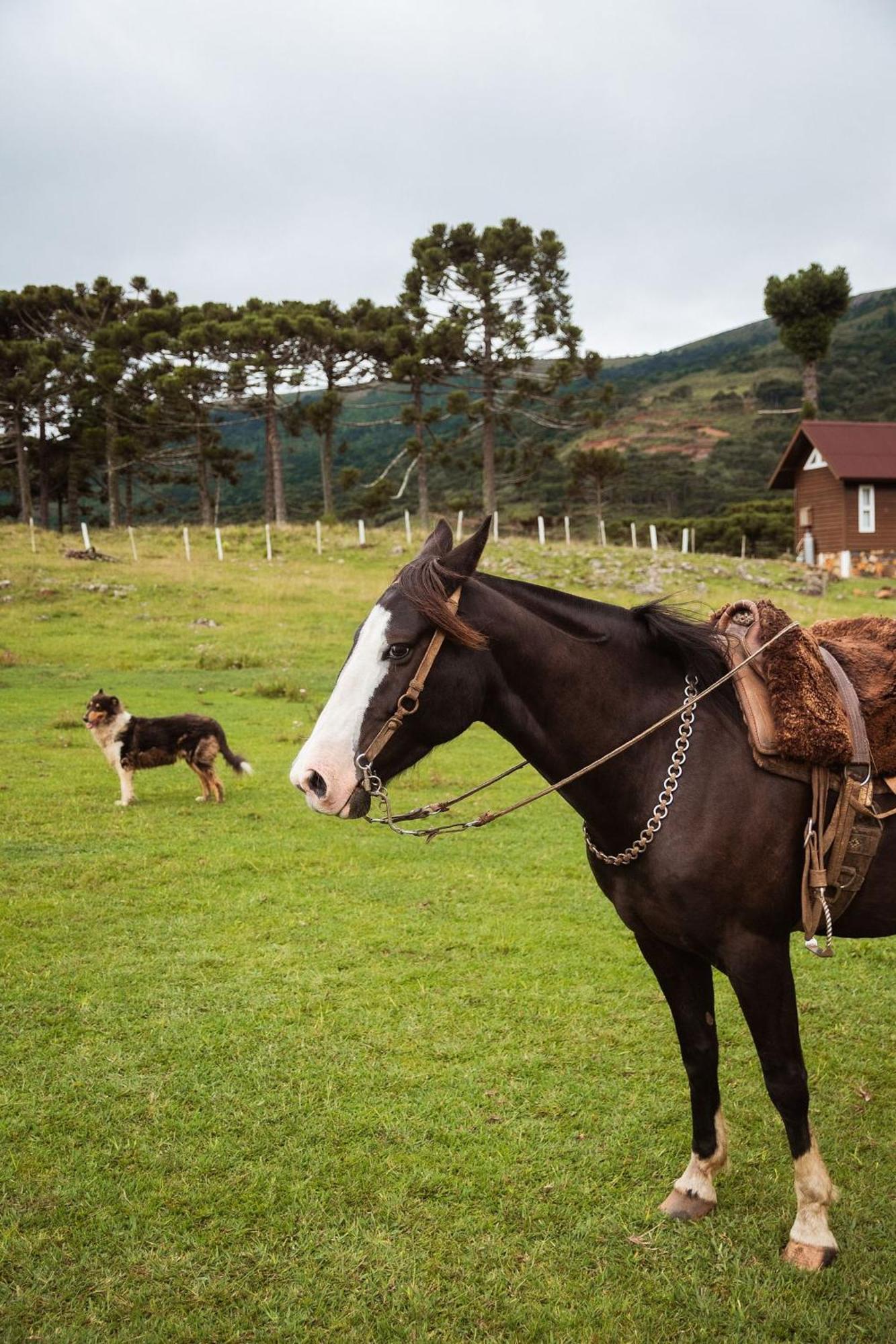 Recanto Das Aguas - Urubici - Sc Bagian luar foto